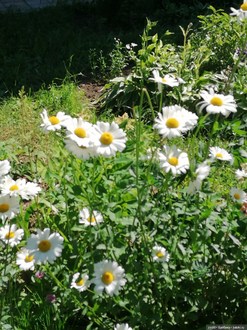 Приехала Jade Hunter от Rainbow High , Зеленая! И теперь почти вся серия (фото 2)