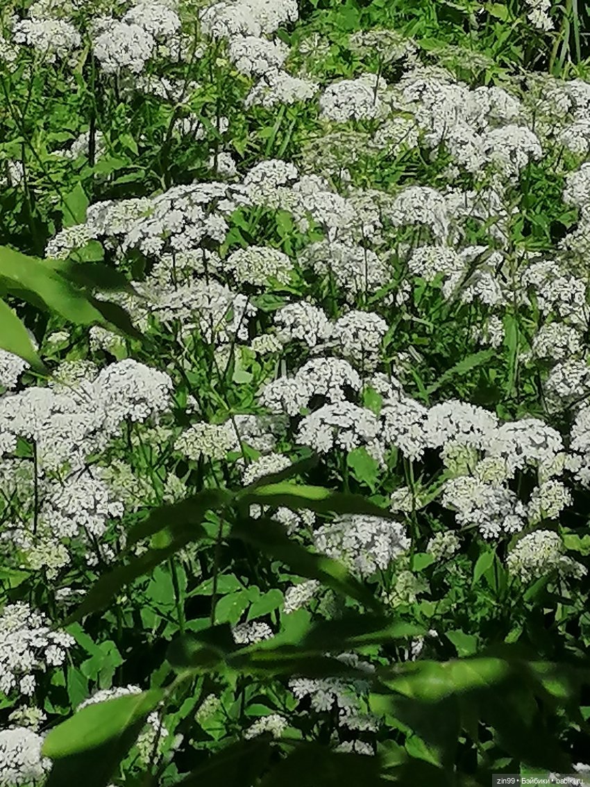 Приехала Jade Hunter от Rainbow High , Зеленая! И теперь почти вся серия