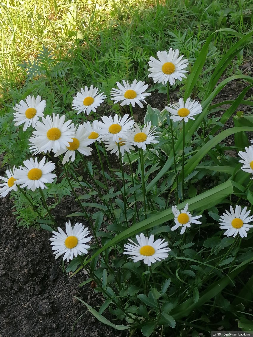 Приехала Jade Hunter от Rainbow High , Зеленая! И теперь почти вся серия