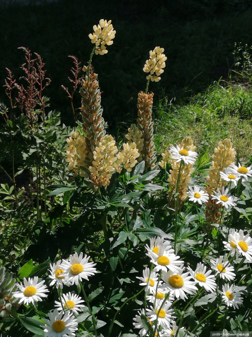 Приехала Jade Hunter от Rainbow High , Зеленая! И теперь почти вся серия (фото 3)