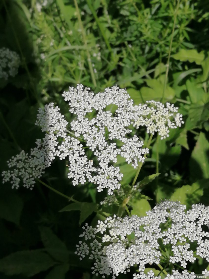 Приехала Jade Hunter от Rainbow High , Зеленая! И теперь почти вся серия