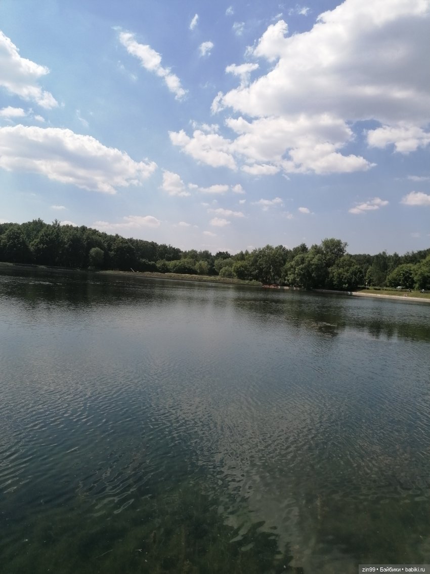 Это Нелли или может Нэни, вот в чем вопрос