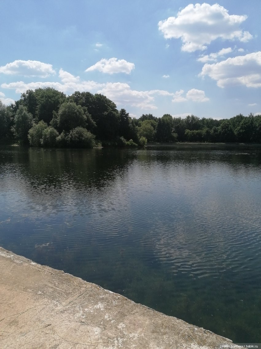 Это Нелли или может Нэни, вот в чем вопрос