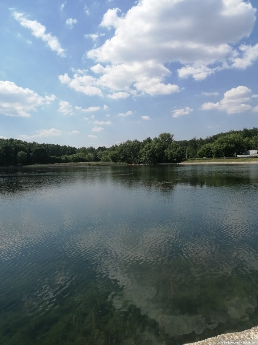 Это Нелли или может Нэни, вот в чем вопрос