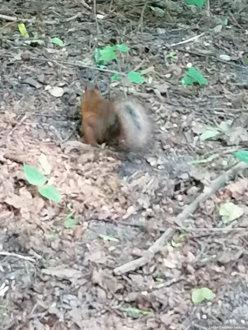 Дарья Rainbow в Орехово-Царицыно (фото 9)