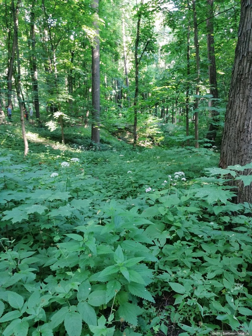 Дарья Rainbow в Орехово-Царицыно (фото 7)