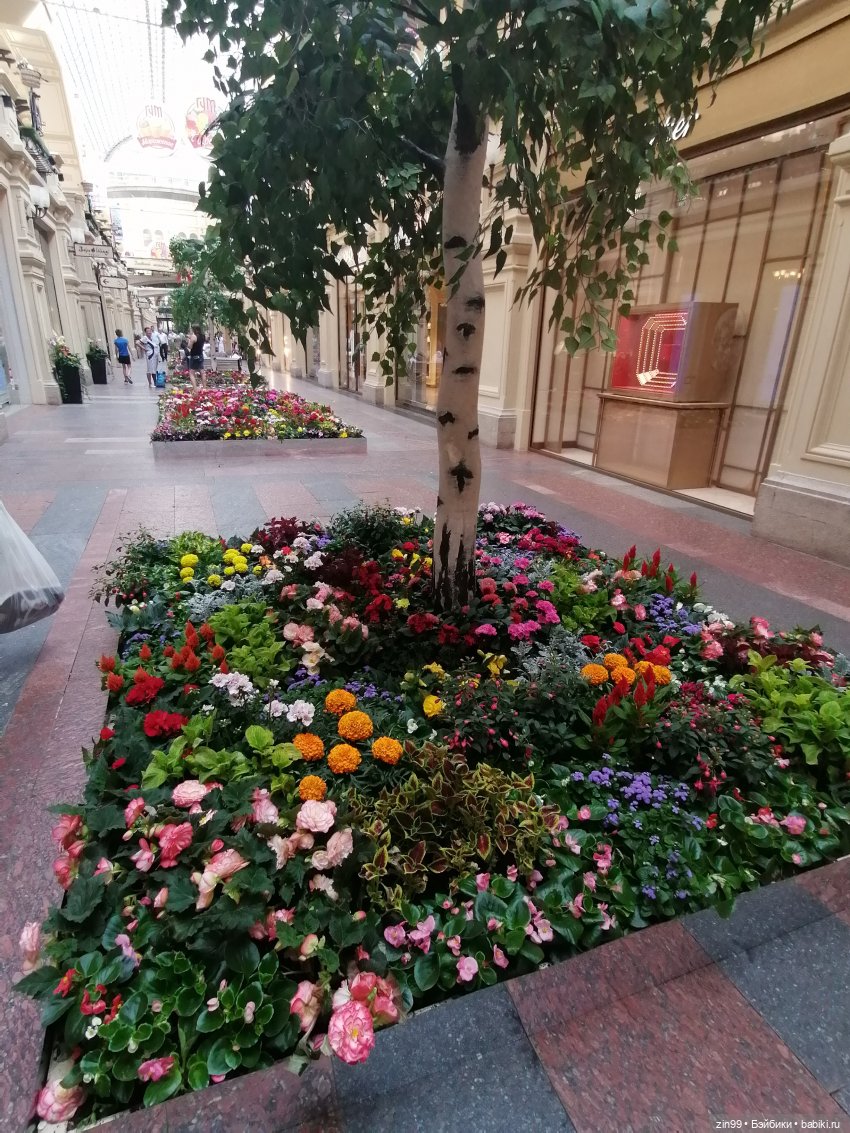 Дафна Минтон и ГУМ — Куклы Rainbow High (Рейнбоу Хай (фото 6)