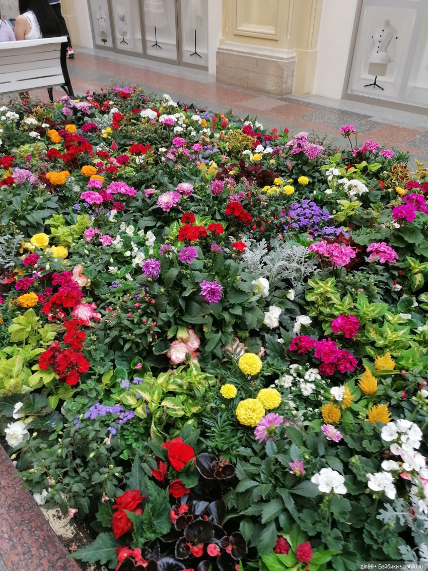 Дафна Минтон и ГУМ — Куклы Rainbow High (Рейнбоу Хай