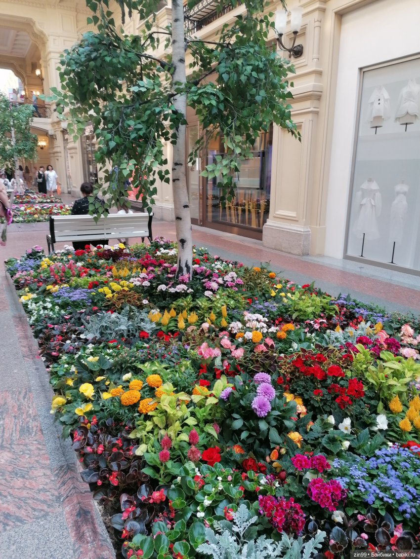 Дафна Минтон и ГУМ — Куклы Rainbow High (Рейнбоу Хай (фото 2)