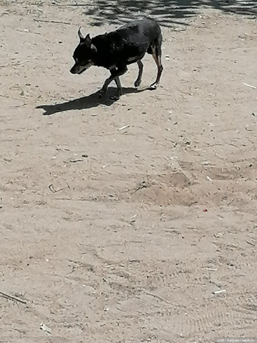 Москва - Жара - Нужно купаться