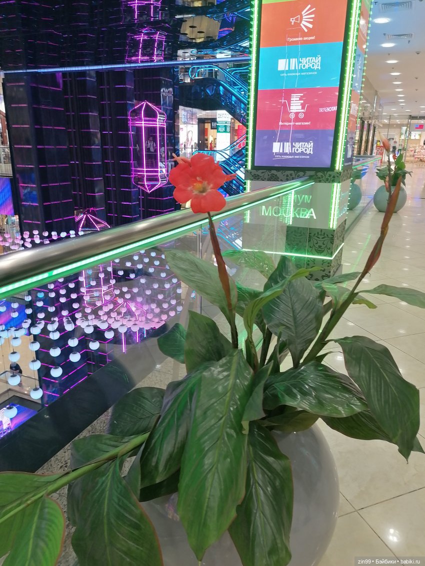 Кукла Jett Dawson! Или прогулка в большой Торговый Центр