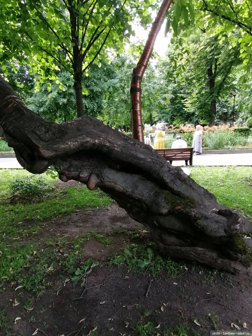 Центральный парк культуры и отдыха им. Горького! В Москве в июле