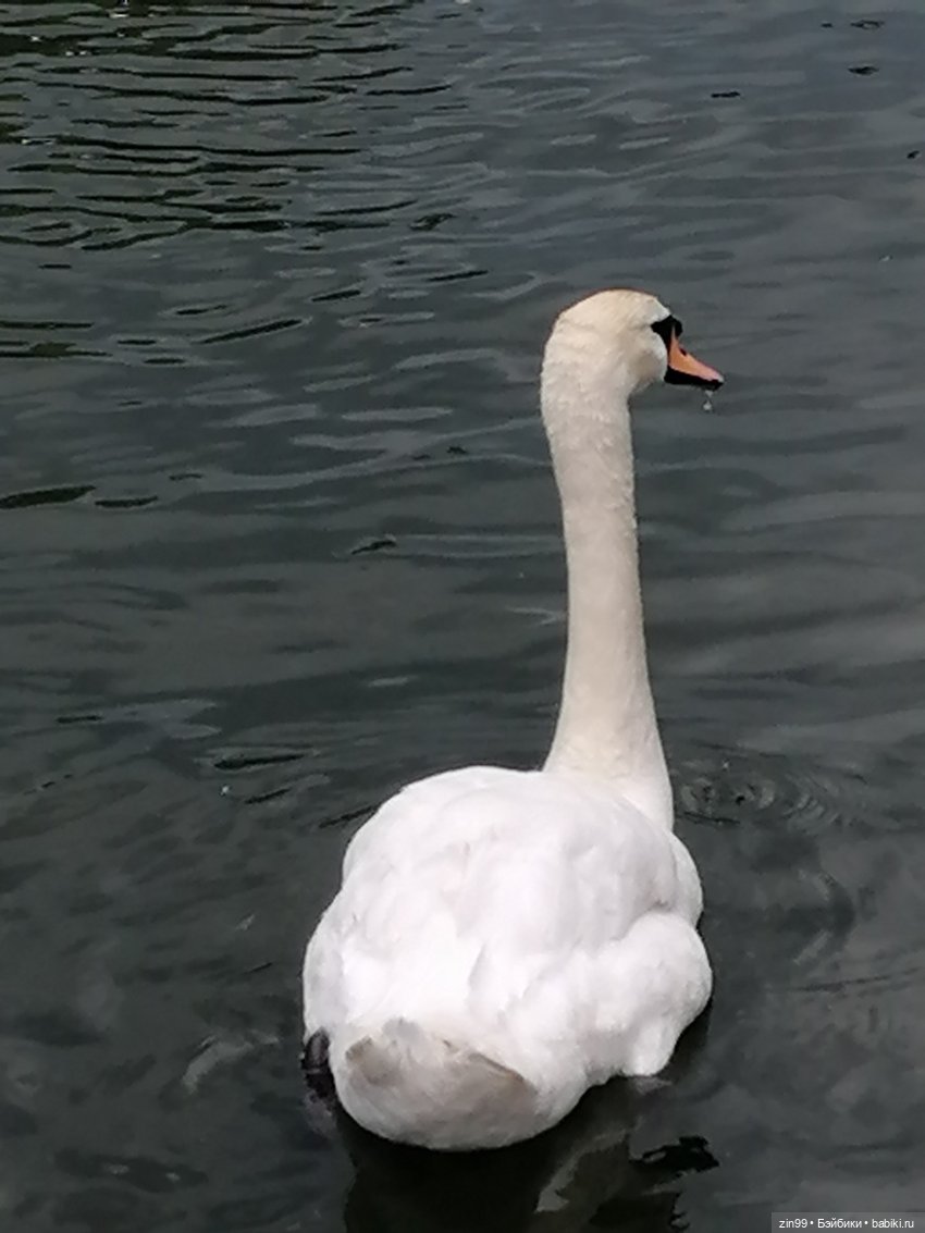 Центральный парк культуры и отдыха им. Горького! В Москве в июле