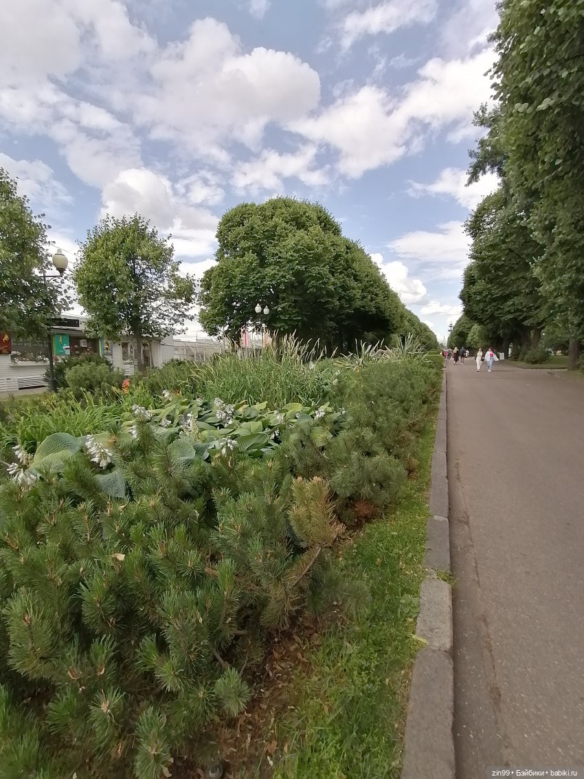 Центральный парк культуры и отдыха им. Горького! В Москве в июле