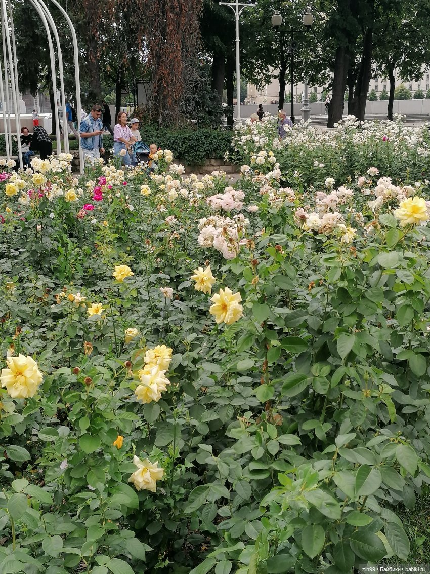 Центральный парк культуры и отдыха им. Горького! В Москве в июле