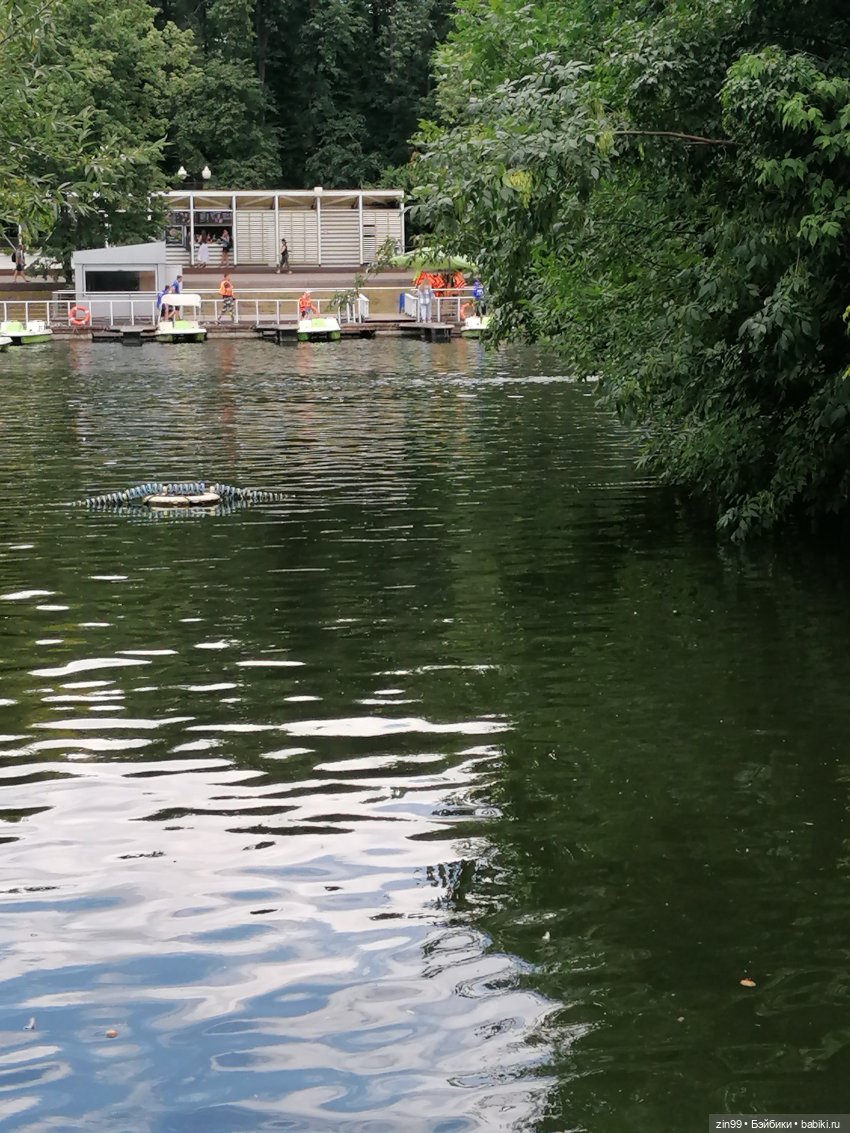 Центральный парк культуры и отдыха им. Горького! В Москве в июле
