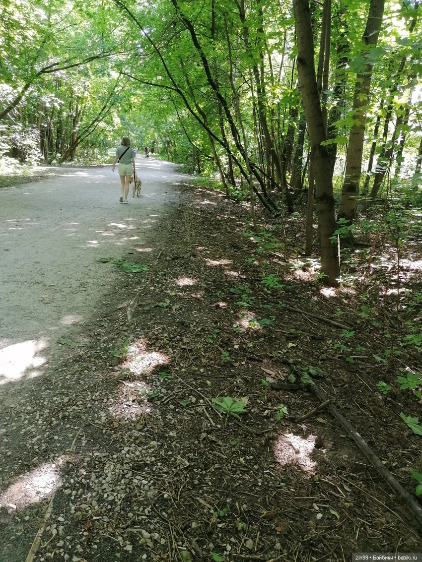 Куколки Мишелли, Michelle