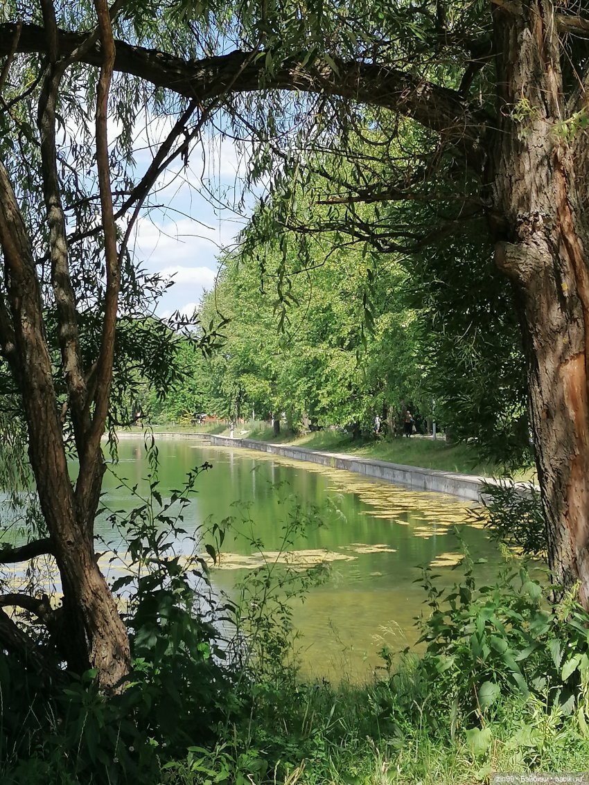 Куколки Мишелли, Michelle