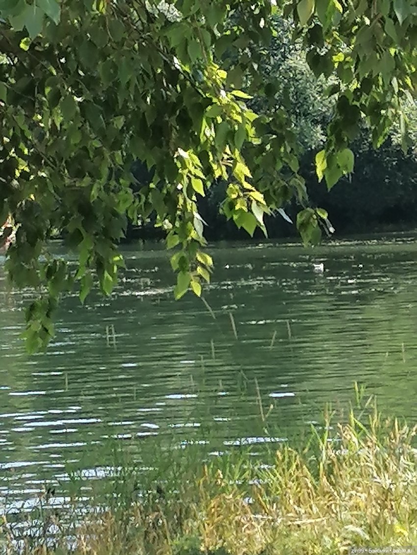 Куколки Мишелли, Michelle