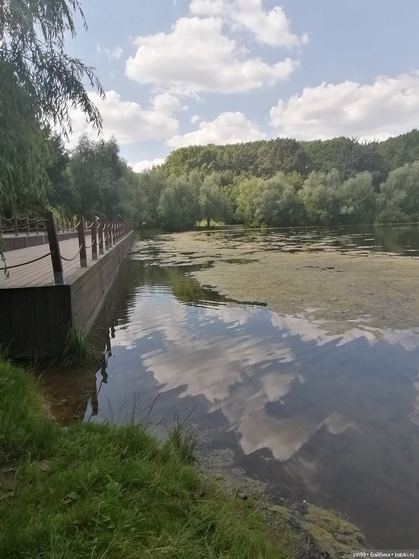 Куколки Мишелли, Michelle