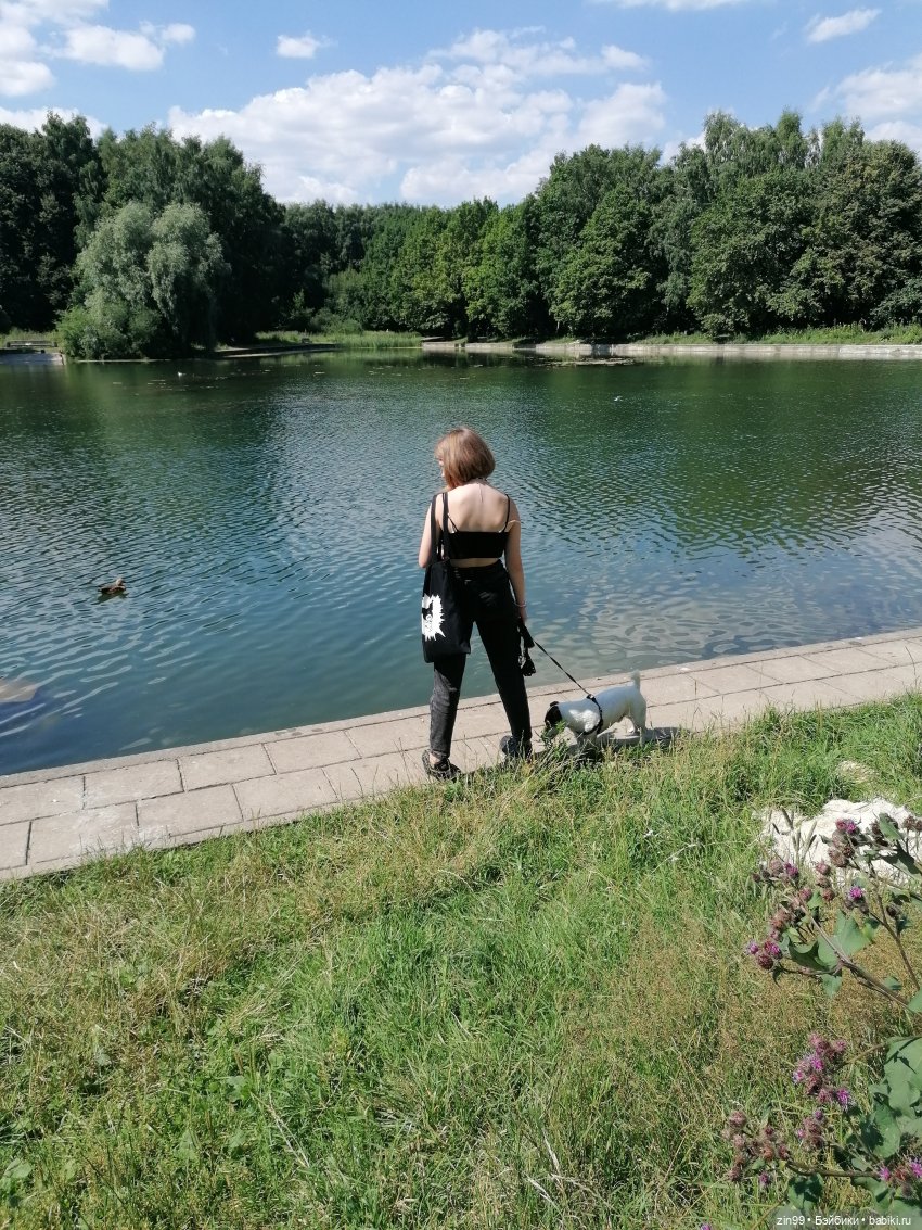 Куколки Мишелли, Michelle