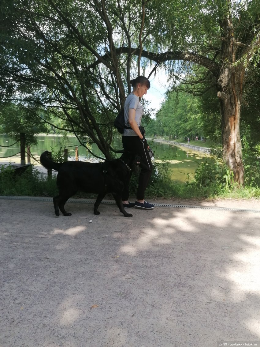 Куколки Мишелли, Michelle