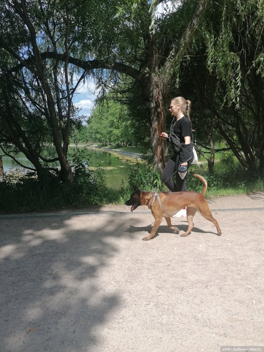 Куколки Мишелли, Michelle