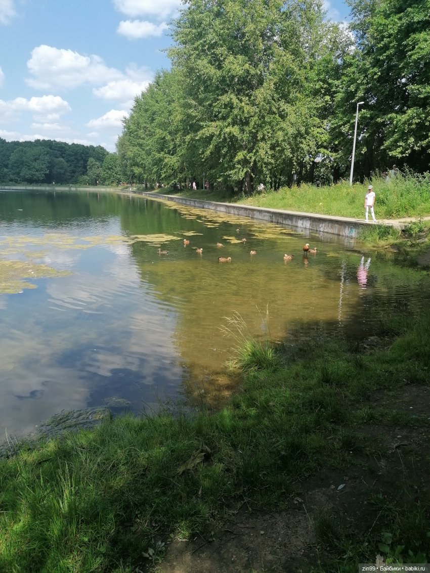 Куколки Мишелли, Michelle