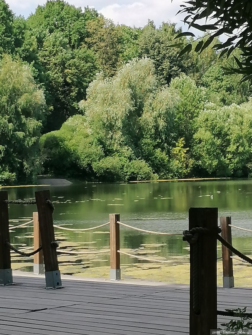 Куколки Мишелли, Michelle