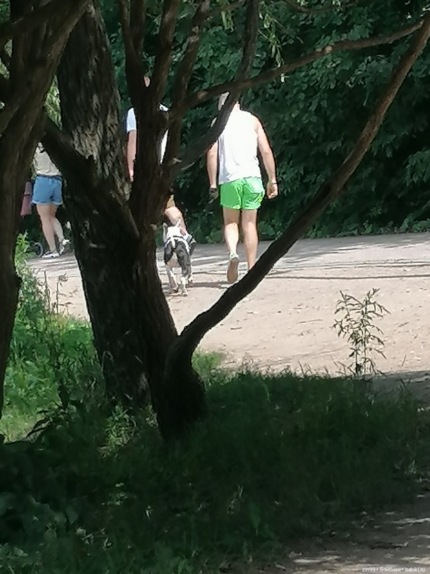 Куколки Мишелли, Michelle