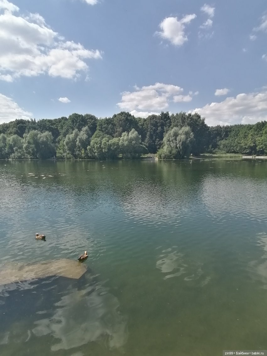 Куколки Мишелли, Michelle