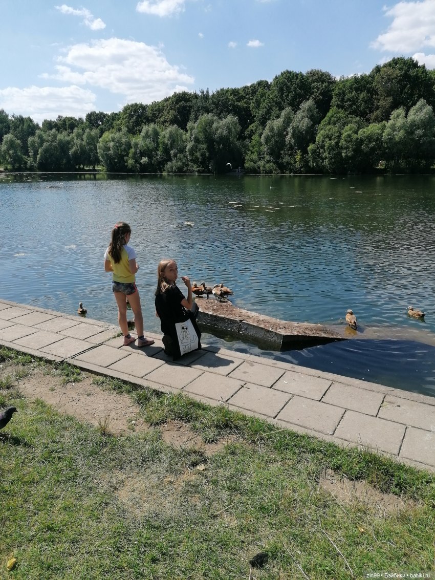 Куколки Мишелли, Michelle