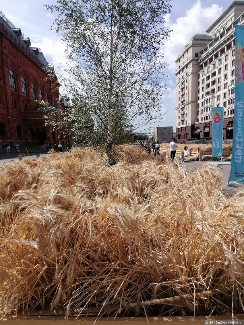 Фестиваль «Московское варенье» на Манеже с куклой Руби от Rainbow Hihg