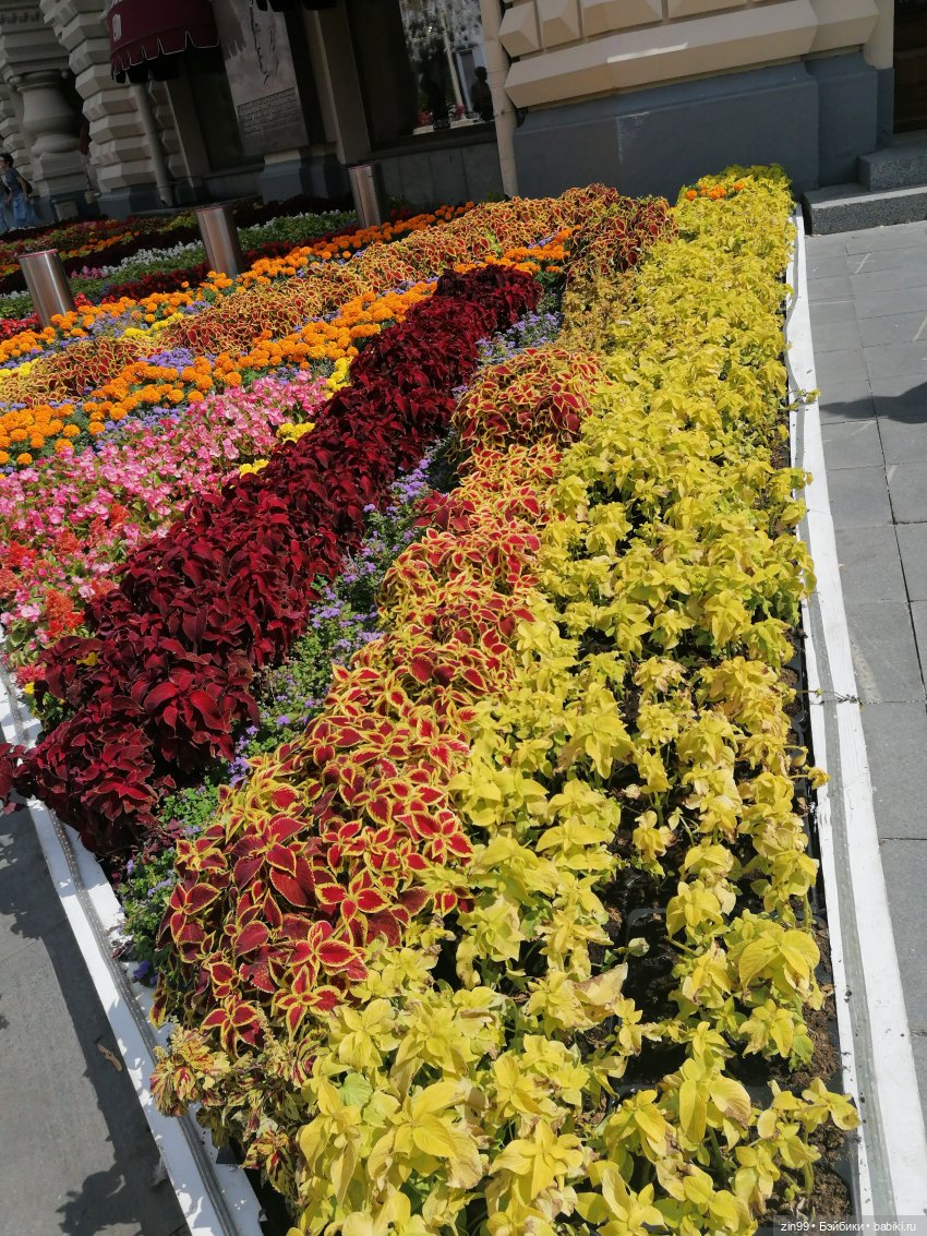 Манеж, ГУМ, и лето Московское лето