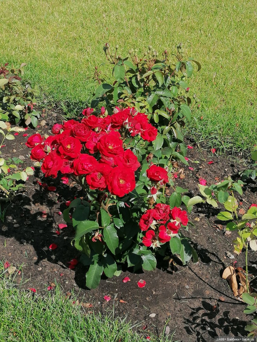 Куколки ГДР в национальных костюмах и прогулка по ВДНХ