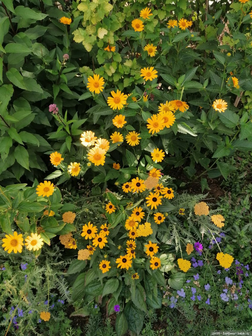 Куколки ГДР в национальных костюмах и прогулка по ВДНХ