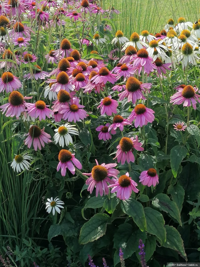 Куколки ГДР в национальных костюмах и прогулка по ВДНХ