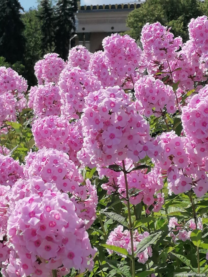 Куколки ГДР в национальных костюмах и прогулка по ВДНХ