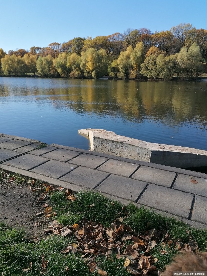 Желто-зеленая осень в октябре 2022 года