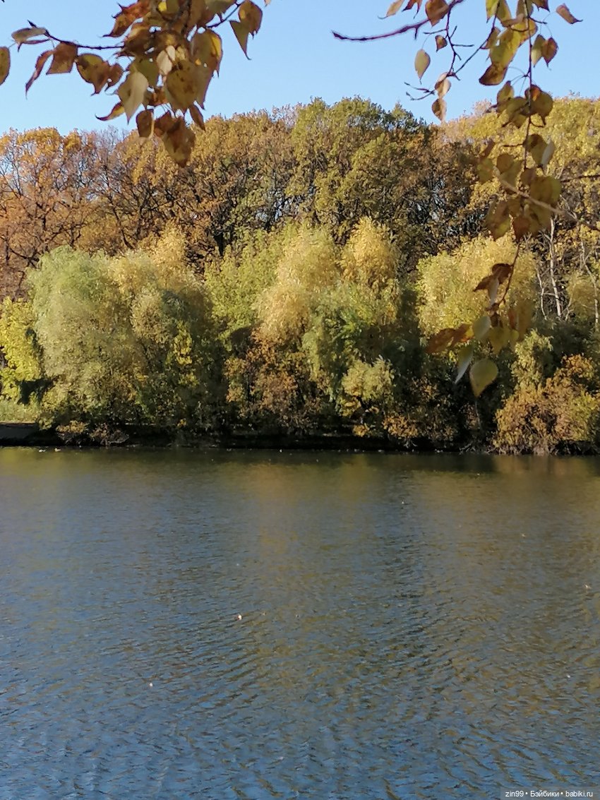Желто-зеленая осень в октябре 2022 года