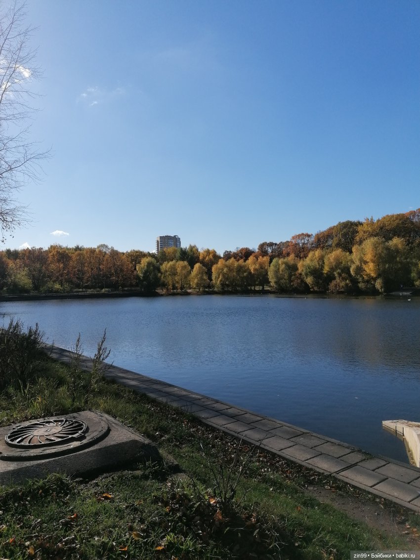 Желто-зеленая осень в октябре 2022 года (фото 10)