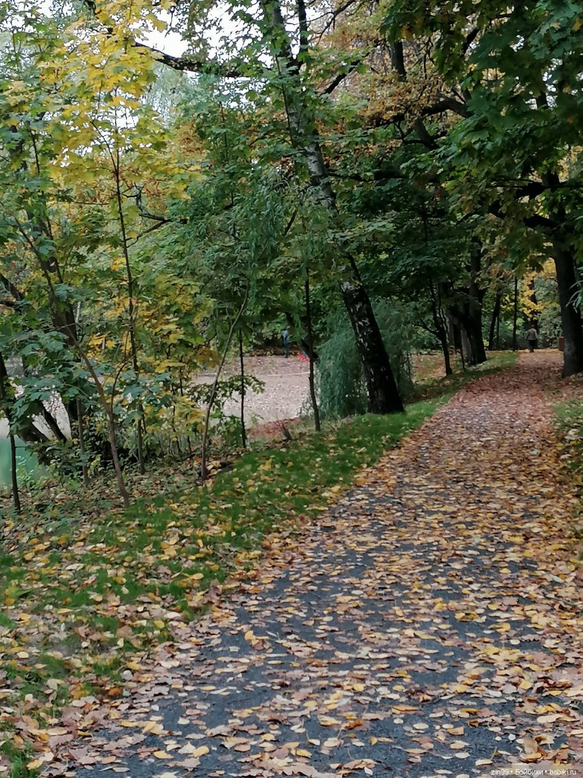 Желто-зеленая осень в октябре 2022 года (фото 9)