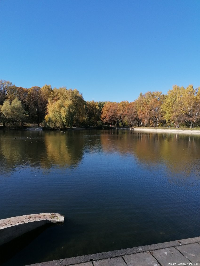 Желто-зеленая осень в октябре 2022 года