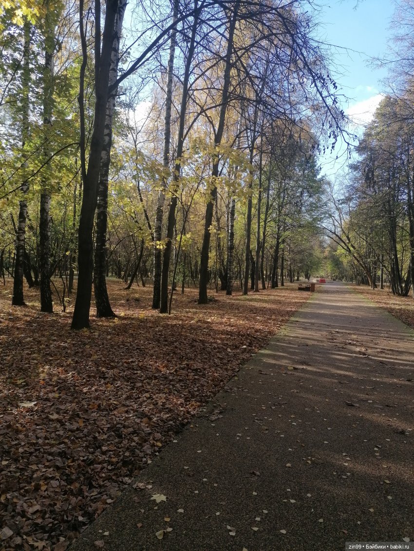 Новый парк Кусково, теперь не лесопарк (фото 6)