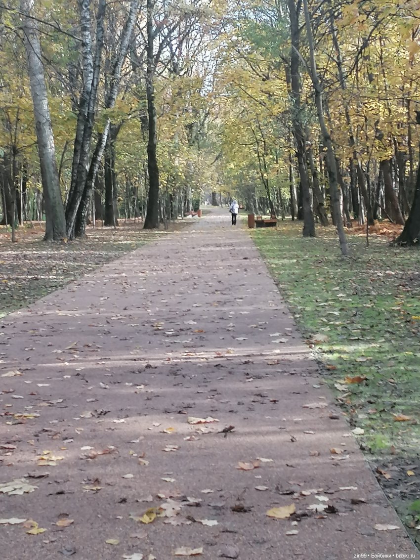 Новый парк Кусково, теперь не лесопарк (фото 10)
