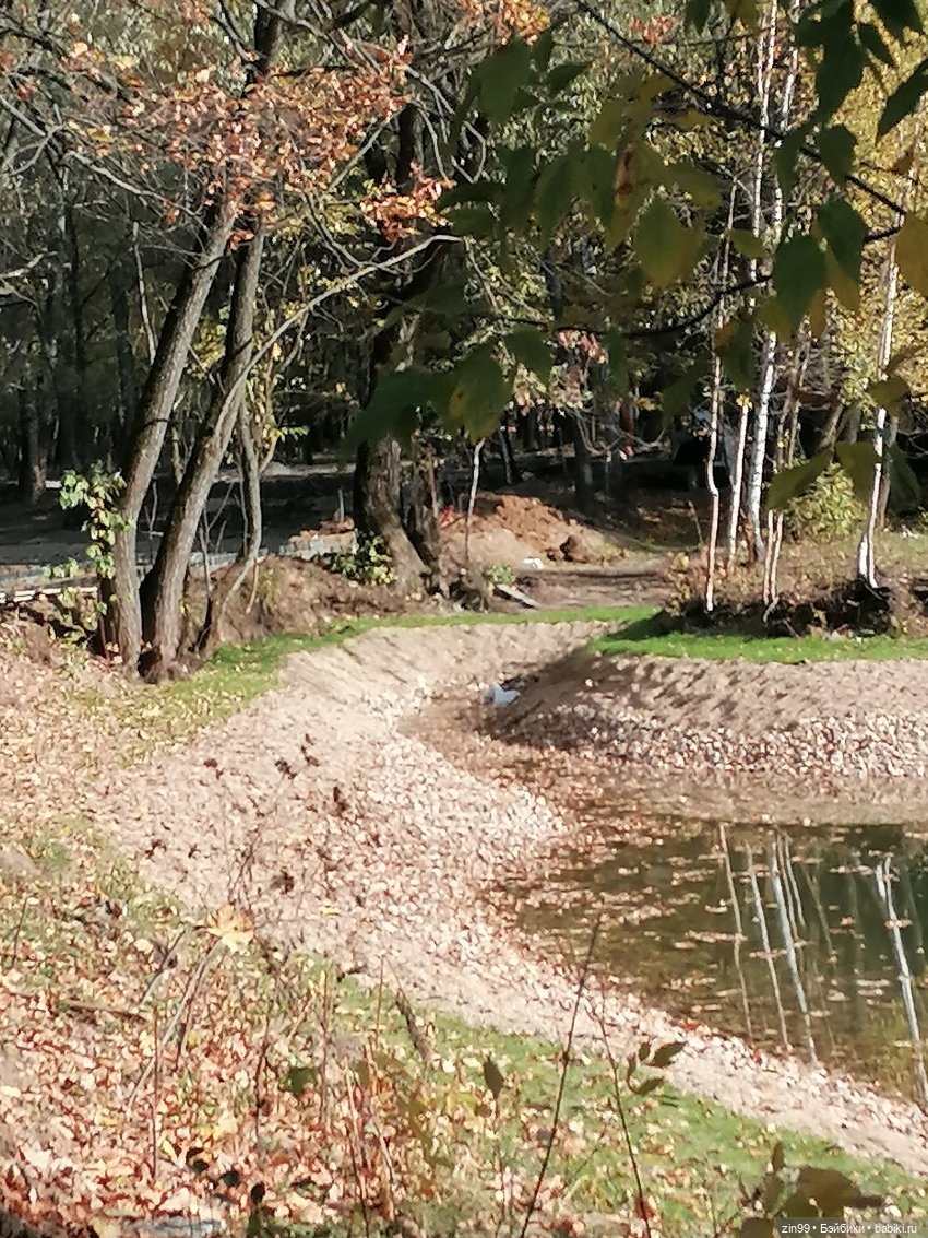 Новый парк Кусково, теперь не лесопарк (фото 4)