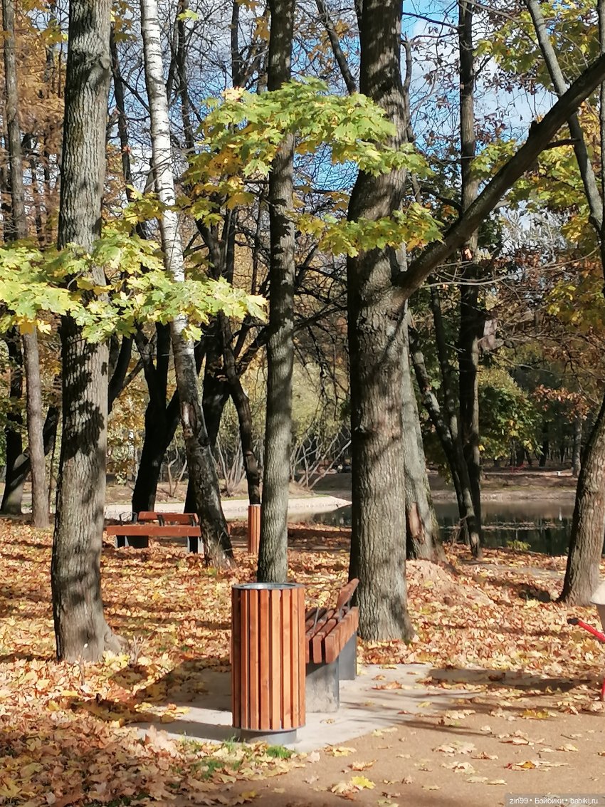 Новый парк Кусково, теперь не лесопарк (фото 5)