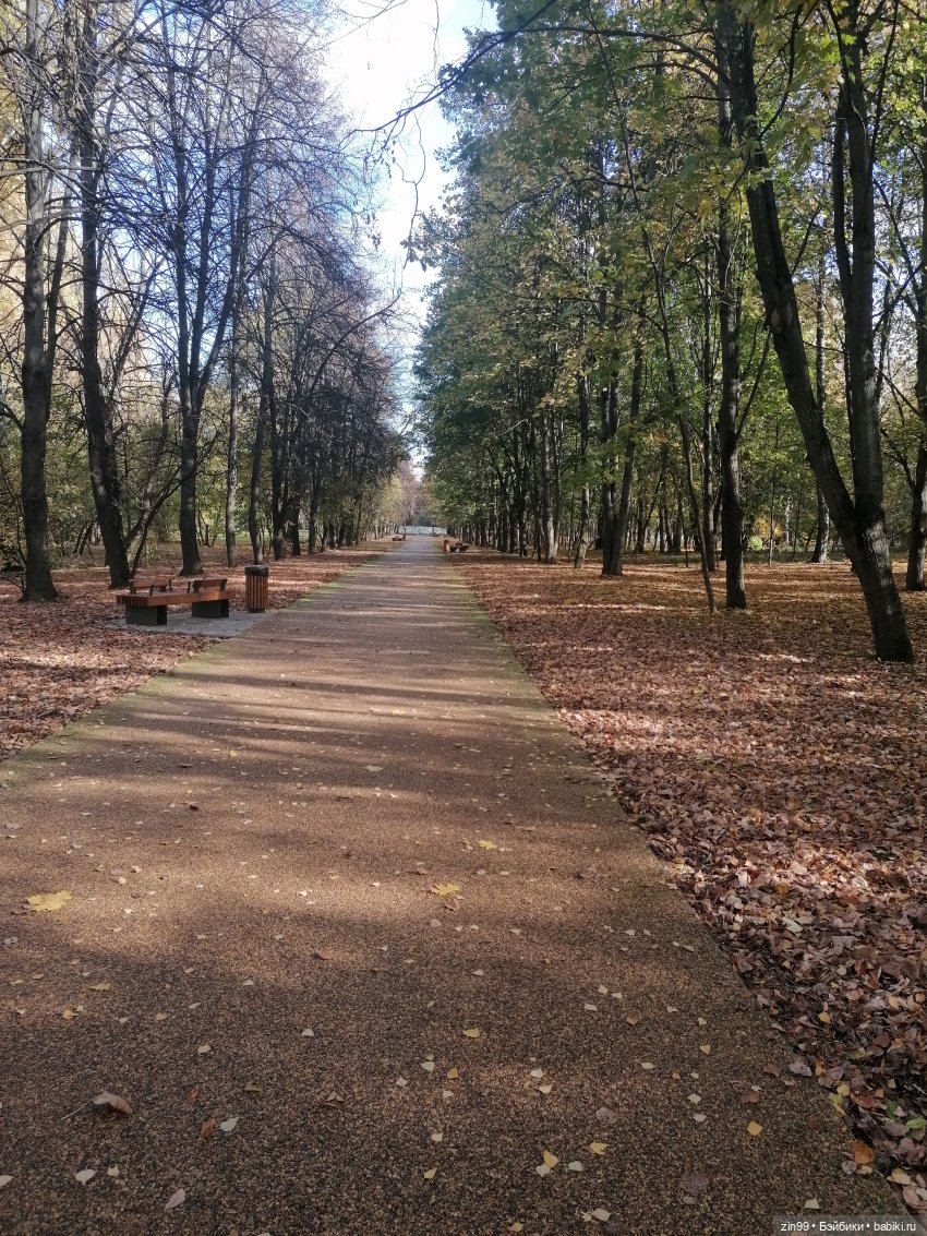 Новый парк Кусково, теперь не лесопарк (фото 7)