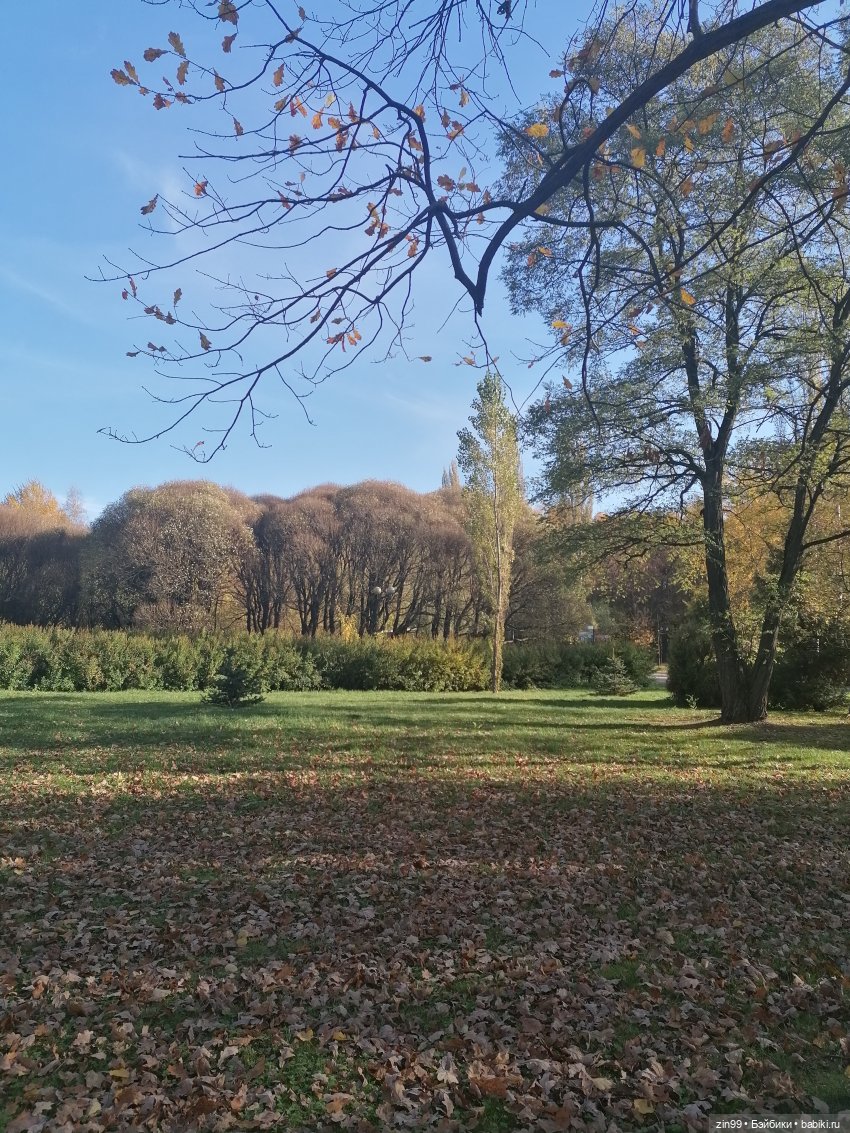 Осень в Измайловском парке, какая она | Бэйбики Осень в Измайловском парке, какая она (фото 8)