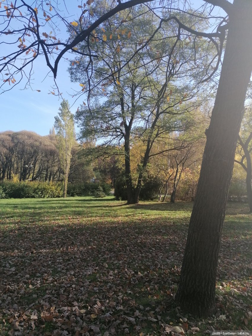 Осень в Измайловском парке, какая она | Бэйбики Осень в Измайловском парке, какая она (фото 9)